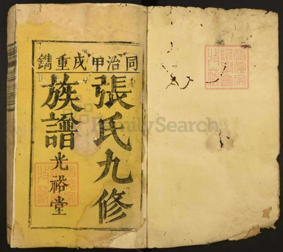 福建省漳州市漳浦县绥安镇张氏光裕堂族谱-张氏九修族谱正宗.pdf电子版预览图1