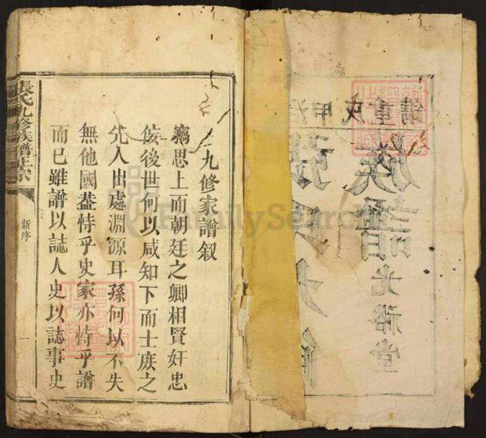 福建省漳州市漳浦县绥安镇张氏光裕堂族谱-张氏九修族谱正宗.pdf电子版预览图2