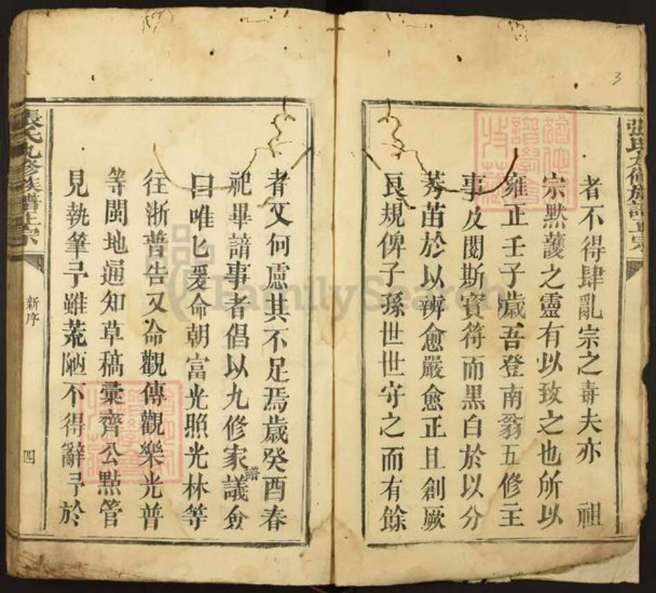 福建省漳州市漳浦县绥安镇张氏光裕堂族谱-张氏九修族谱正宗.pdf电子版预览图5