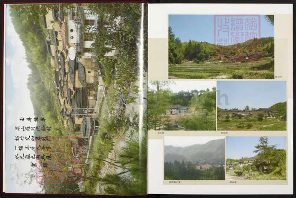 福建省莆田市仙游县张氏族谱-龙溪张氏总谱.pdf电子版预览图3