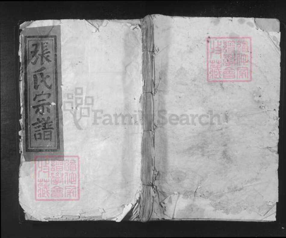 江西省赣州市宁都县小布镇张氏族谱-张氏宗谱.pdf电子版缩略图