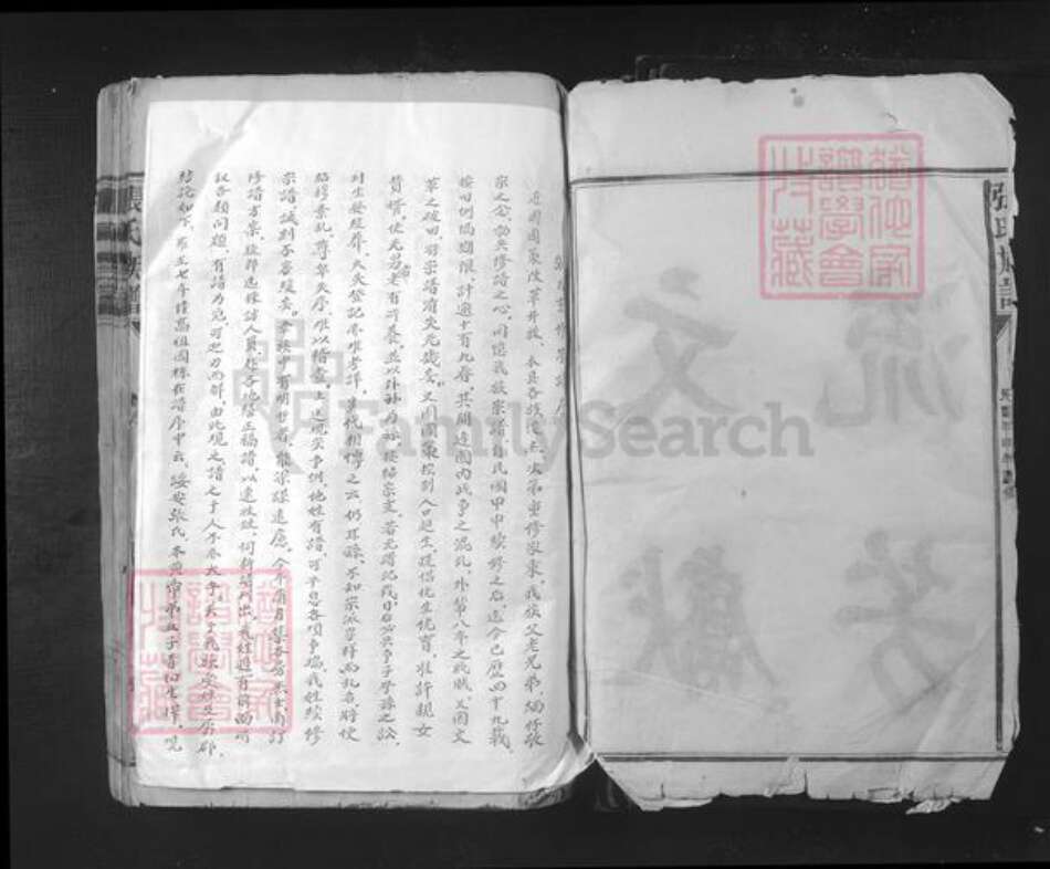 江西省赣州市宁都县小布镇张氏族谱-张氏宗谱.pdf电子版预览图2