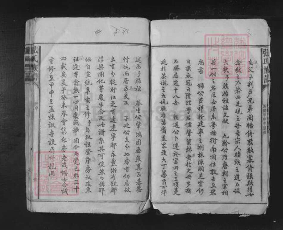 江西省赣州市宁都县小布镇张氏族谱-张氏宗谱.pdf电子版预览图4