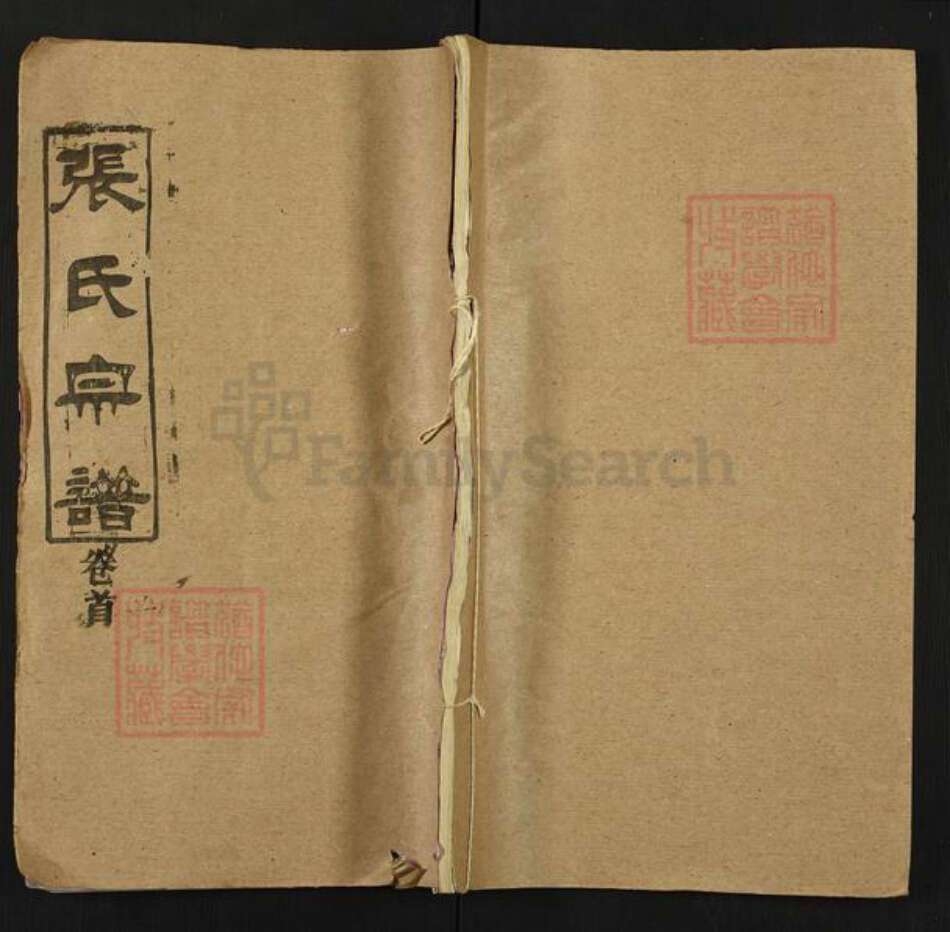 湖北省黄冈市张氏雨铭堂族谱-张氏宗谱.pdf电子版缩略图