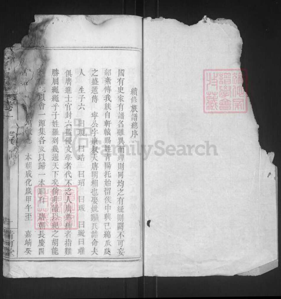 湖北省黄冈市蕲春县漕河镇张氏清河堂族谱-张氏宗谱.pdf电子版预览图1