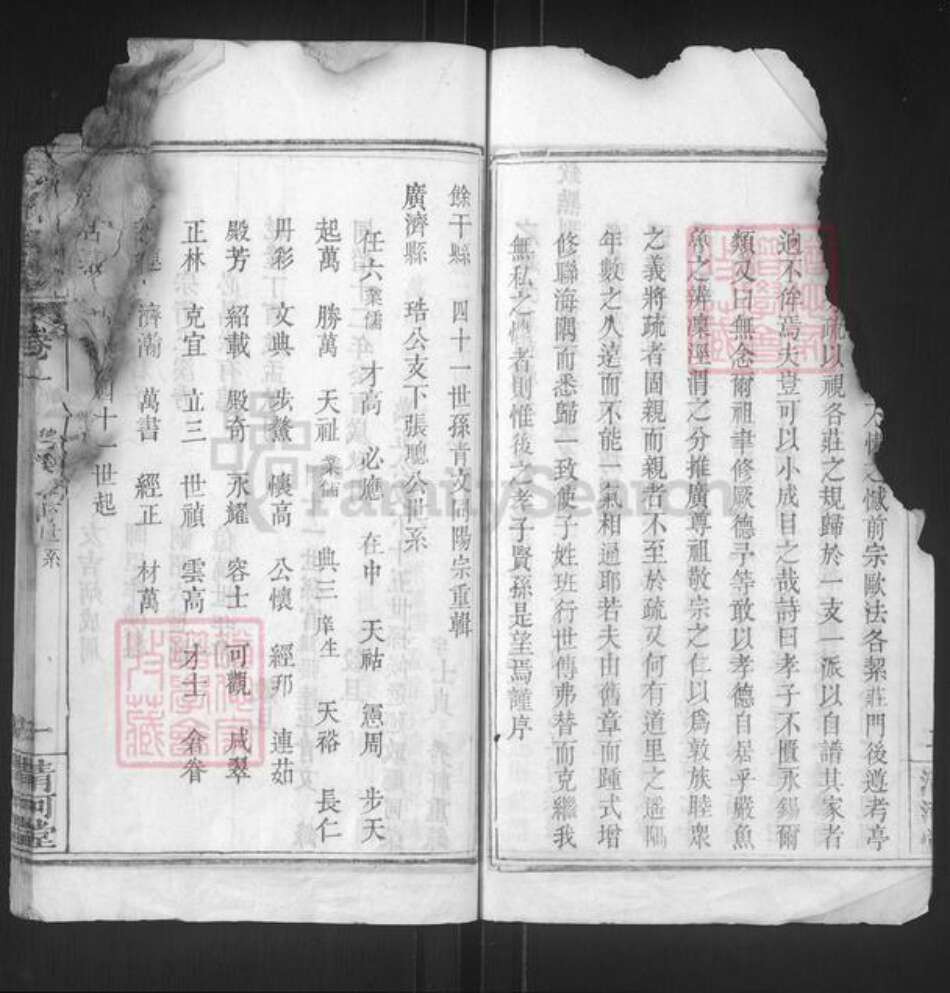 湖北省黄冈市蕲春县漕河镇张氏清河堂族谱-张氏宗谱.pdf电子版预览图3