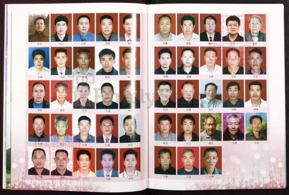 福建省莆田市仙游县张氏族谱-龙溪张氏总谱.pdf电子版预览图4