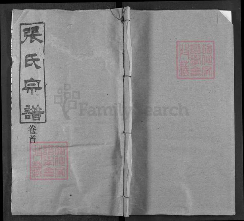 湖北省武汉市新洲区张氏两铭堂族谱-张氏宗谱.pdf电子版缩略图