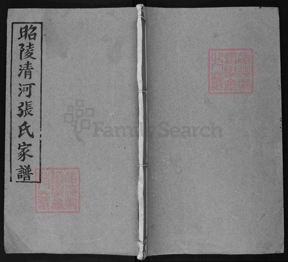 湖南省永州市祁阳县张氏族谱-昭陵清河张氏家谱.pdf电子版缩略图