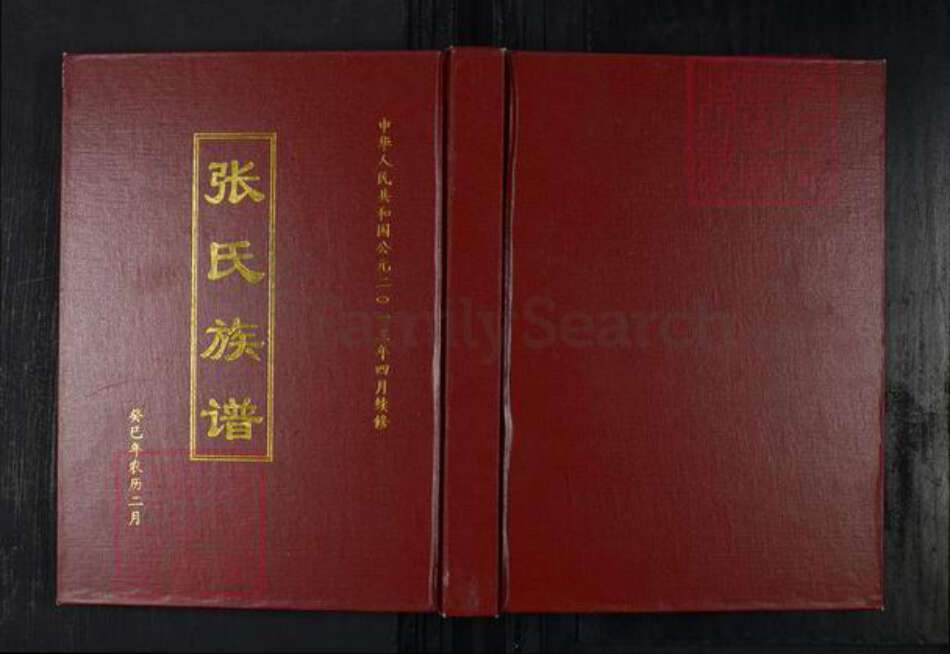 山东省济南市莱芜区张氏族谱-张氏族谱.pdf电子版缩略图