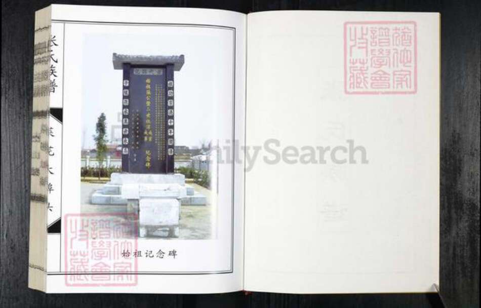 山东省济南市莱芜区张氏族谱-张氏族谱.pdf电子版预览图2