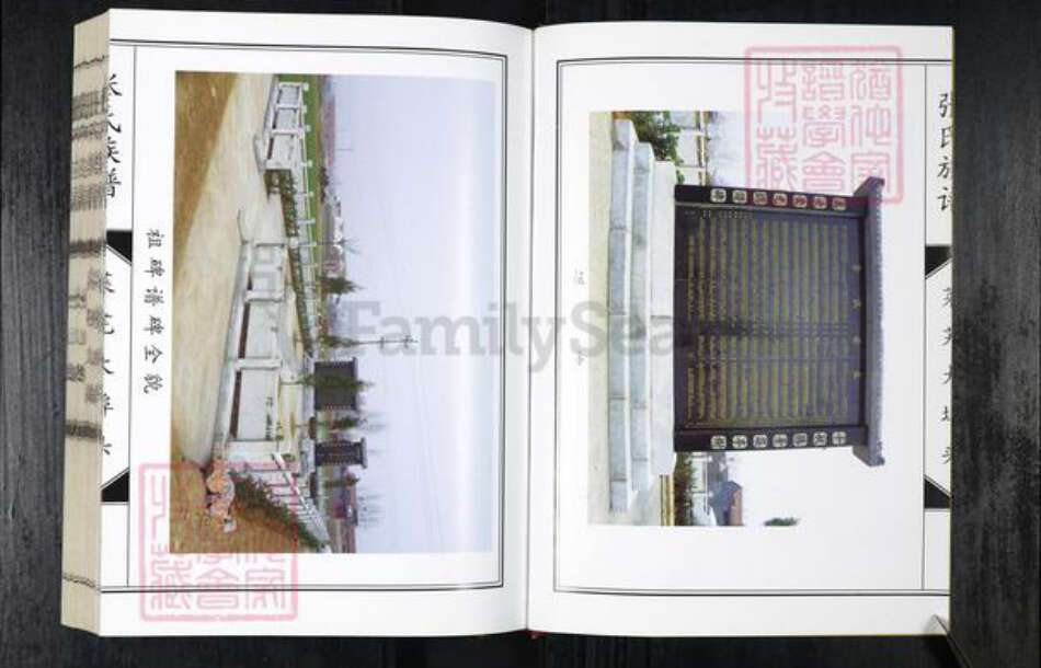 山东省济南市莱芜区张氏族谱-张氏族谱.pdf电子版预览图3