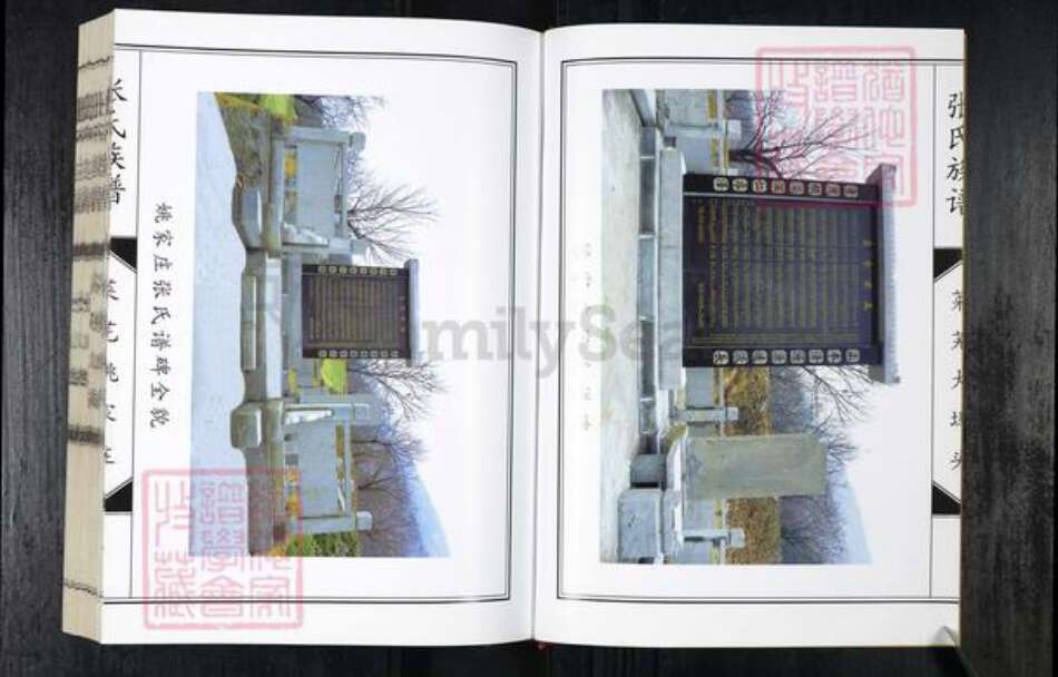 山东省济南市莱芜区张氏族谱-张氏族谱.pdf电子版预览图4