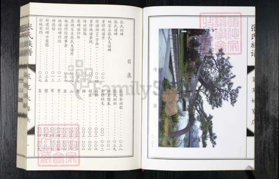 山东省济南市莱芜区张氏族谱-张氏族谱.pdf电子版预览图5