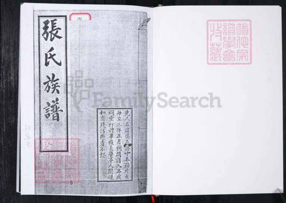 山东省青岛市张氏族谱-张氏族谱.任家屯.pdf电子版预览图1