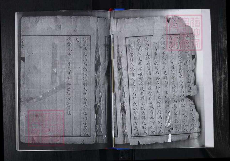 山东省青岛市崂山区张氏族谱-峪夼社区张氏支谱.pdf电子版预览图2