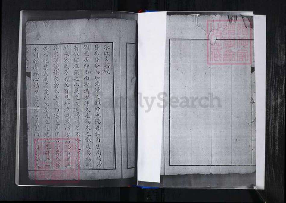 山东省青岛市崂山区张氏族谱-峪夼社区张氏支谱.pdf电子版预览图3