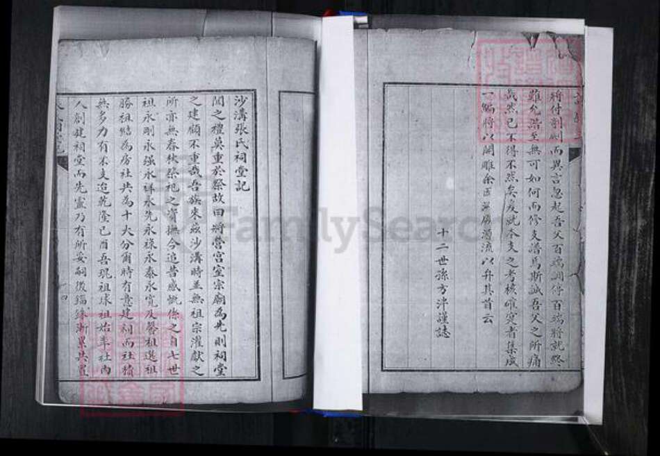 山东省青岛市崂山区张氏族谱-峪夼社区张氏支谱.pdf电子版预览图4