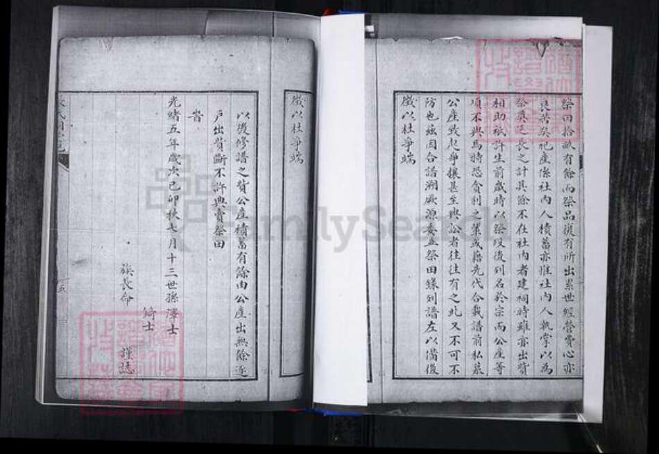 山东省青岛市崂山区张氏族谱-峪夼社区张氏支谱.pdf电子版预览图5