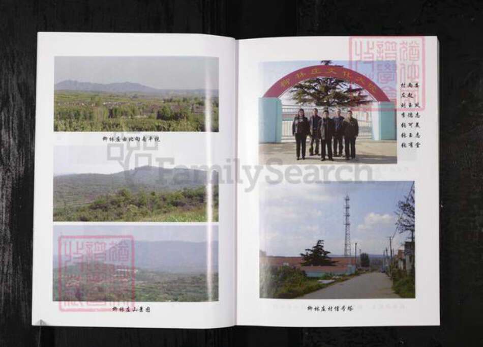 山东省烟台市栖霞市张氏族谱-柳林庄张氏四百年.pdf电子版预览图3