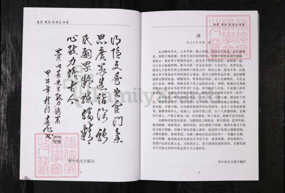 山东省烟台市栖霞市张氏族谱-柳林庄张氏四百年.pdf电子版预览图5