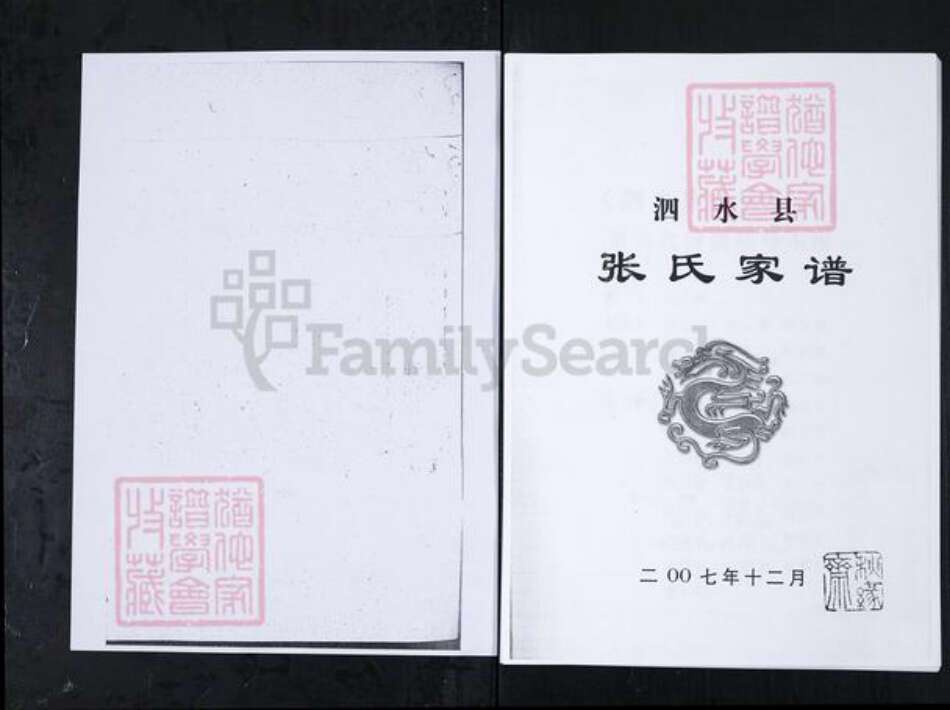 山东省济宁市泗水县张氏族谱-泗水县张氏家谱.pdf电子版缩略图