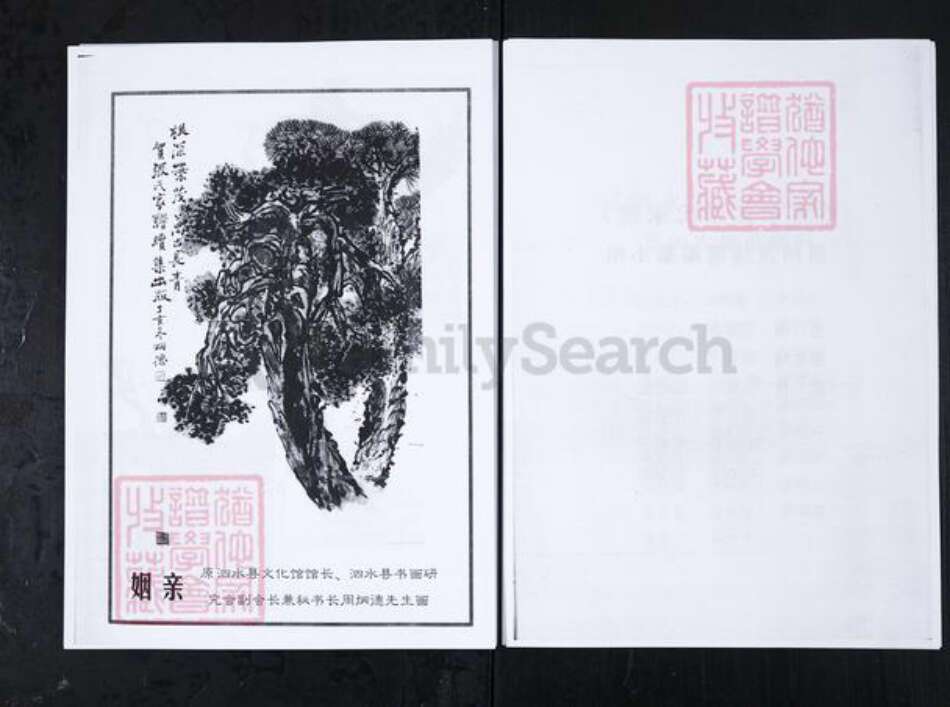 山东省济宁市泗水县张氏族谱-泗水县张氏家谱.pdf电子版预览图3