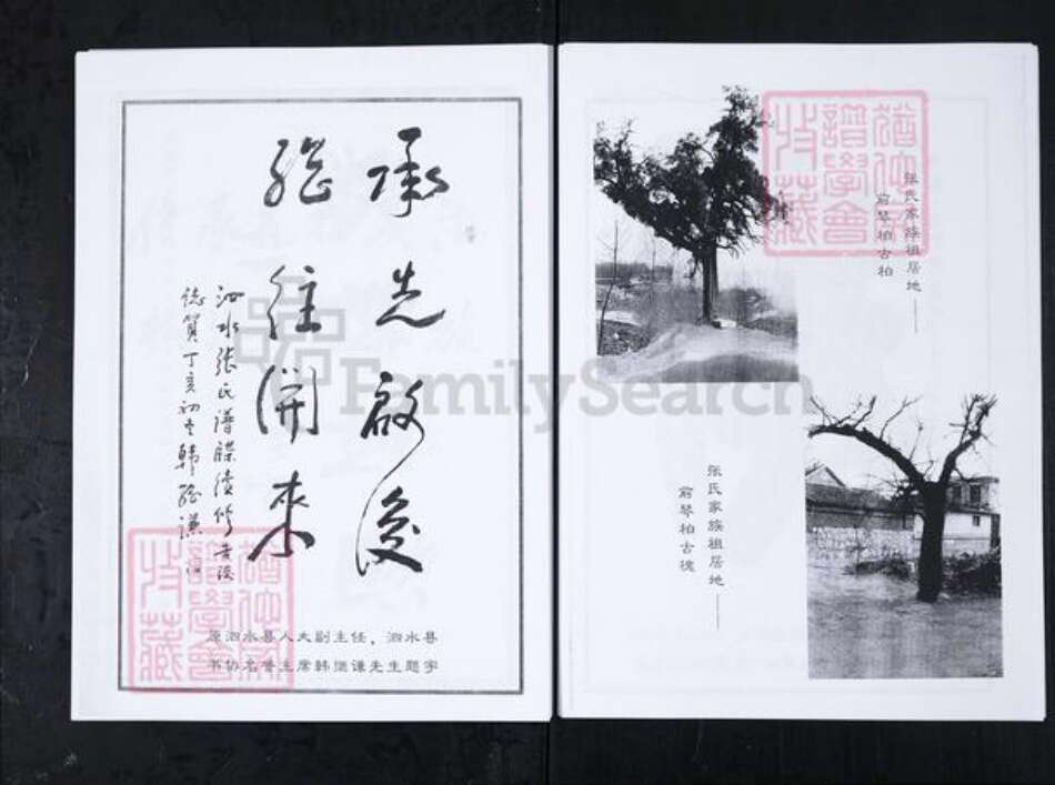 山东省济宁市泗水县张氏族谱-泗水县张氏家谱.pdf电子版预览图4