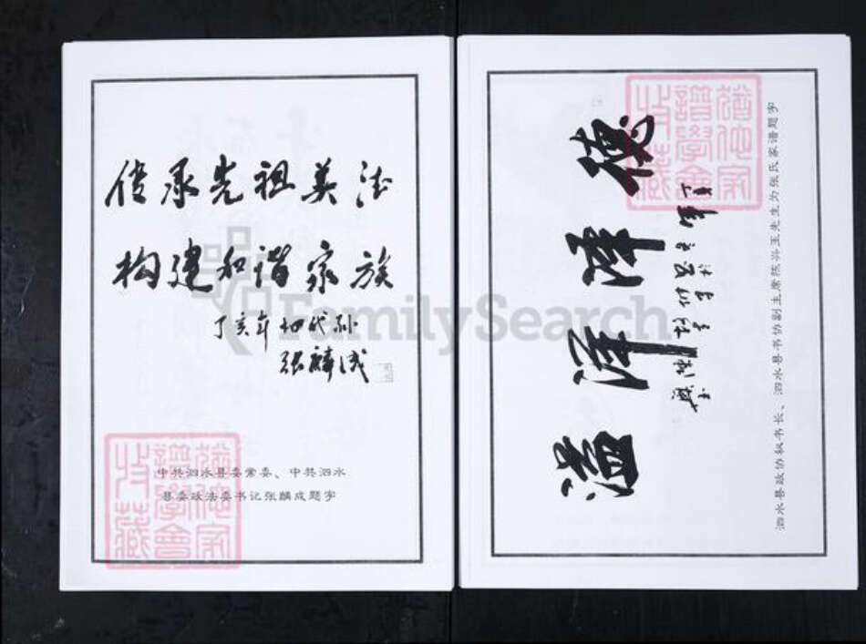 山东省济宁市泗水县张氏族谱-泗水县张氏家谱.pdf电子版预览图5