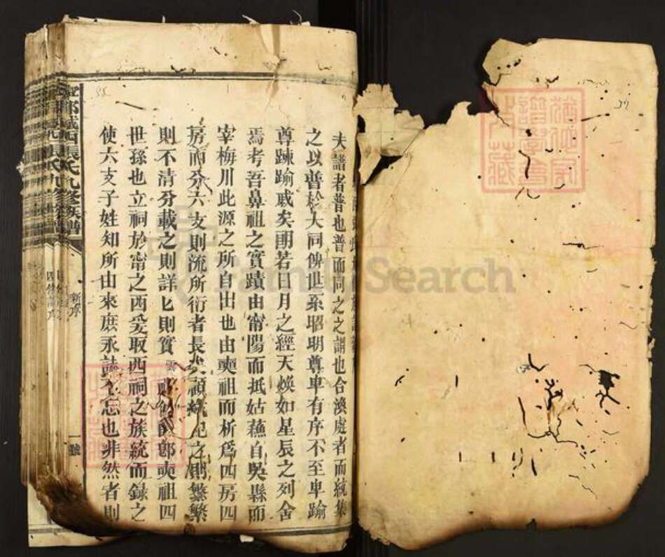 江西省赣州市宁都县张氏族谱-宁都城西张氏九修族谱.pdf电子版预览图1