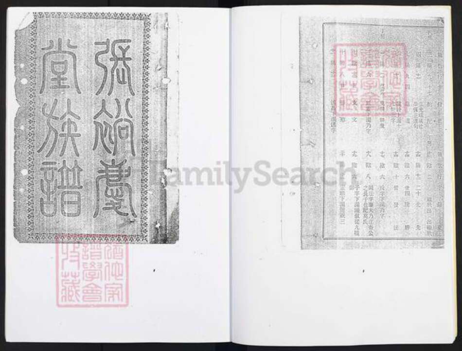 广东省广州市番禺区沙湾镇张氏裕庆堂族谱-岐山村张裕庆堂族谱.pdf电子版预览图3