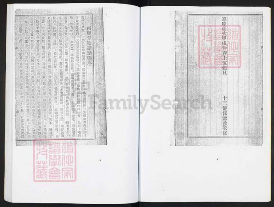 广东省广州市番禺区沙湾镇张氏裕庆堂族谱-岐山村张裕庆堂族谱.pdf电子版预览图5