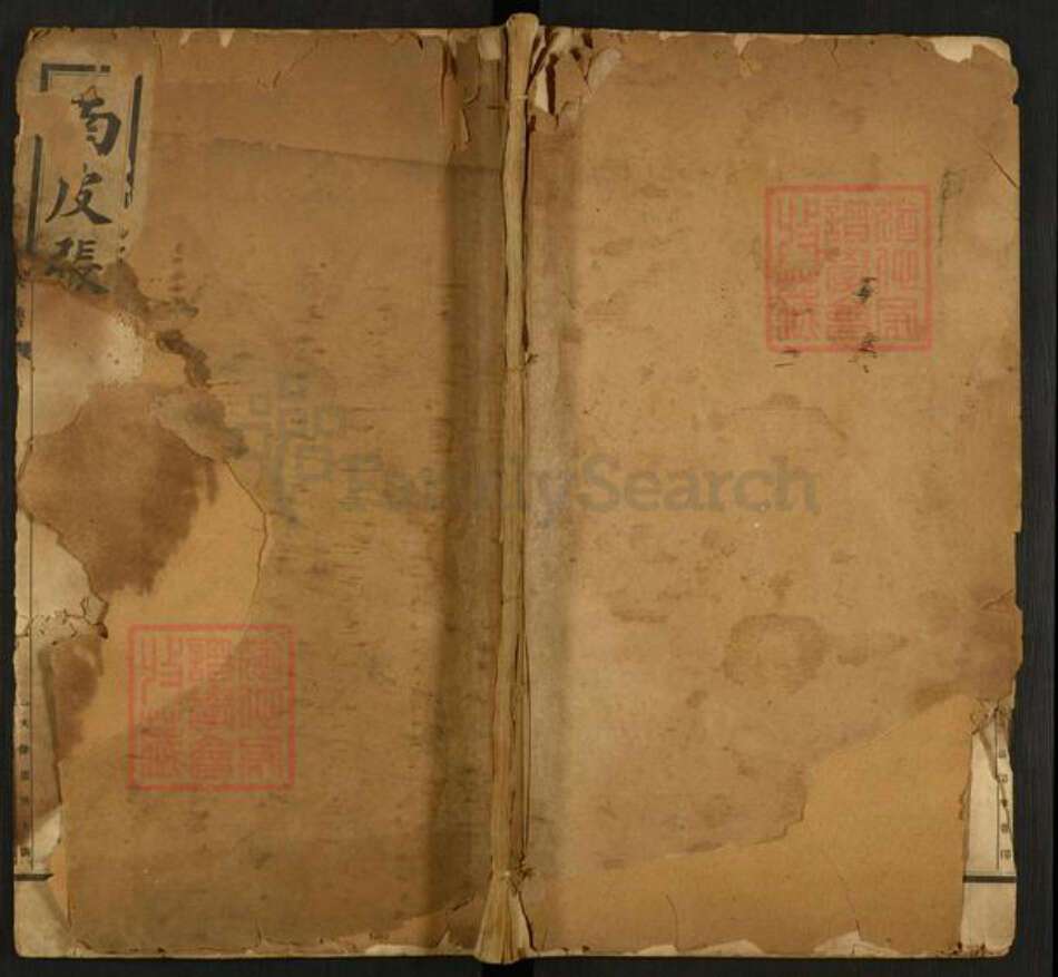 河北省沧州东光县大单镇张氏族谱-南皮张氏族谱.pdf电子版缩略图