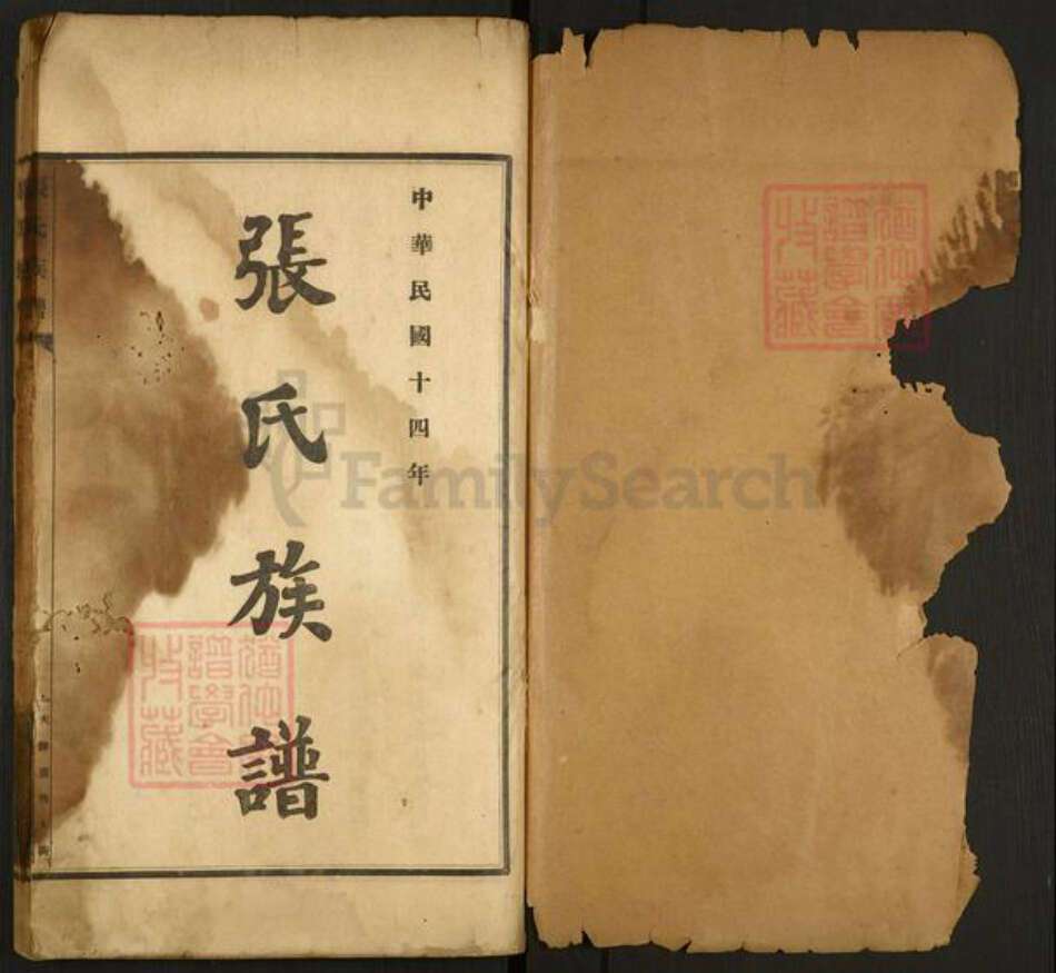 河北省沧州东光县大单镇张氏族谱-南皮张氏族谱.pdf电子版预览图1