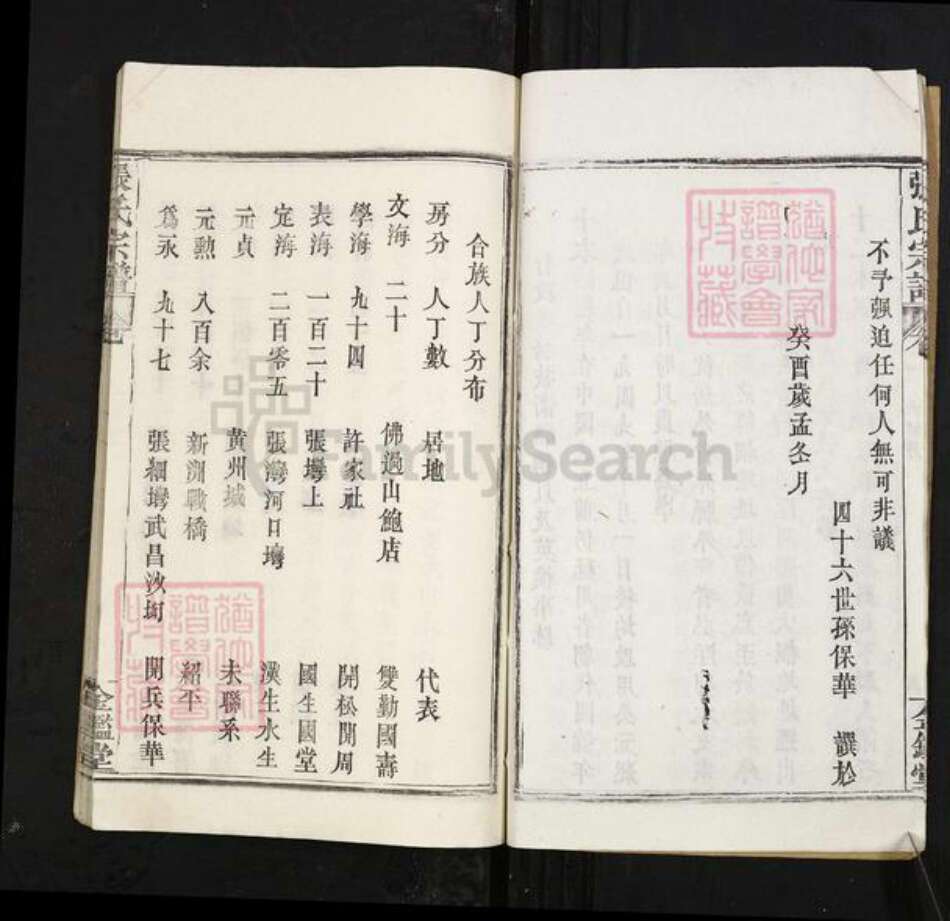 江西省九江市武宁县张氏金鉴堂族谱-张氏宗谱.pdf电子版预览图5