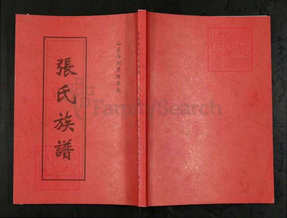 山东省淄博市淄川区张氏族谱-张氏族谱.pdf电子版缩略图