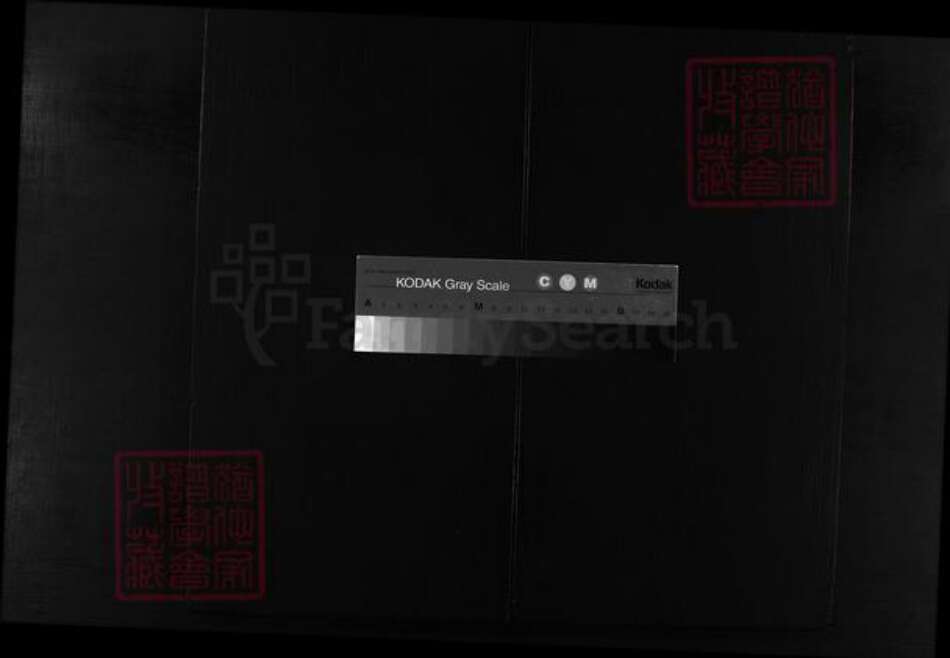 浙江省温州市平阳县张氏族谱-张氏宗谱 [不分卷].pdf电子版缩略图