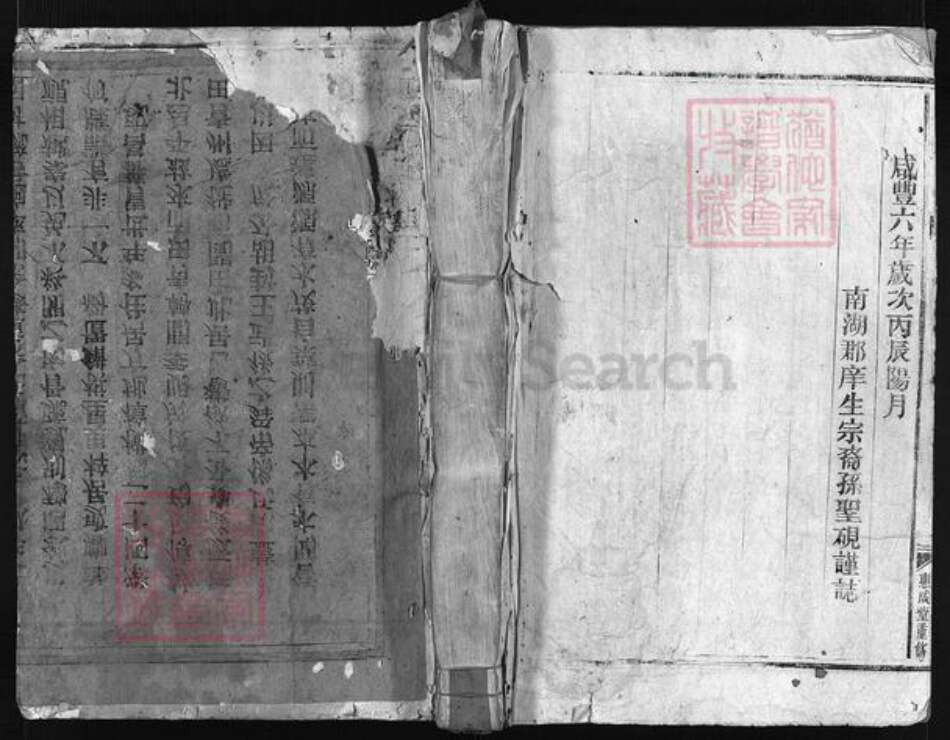 浙江省温州市平阳县张氏族谱-张氏宗谱 [不分卷].pdf电子版预览图1