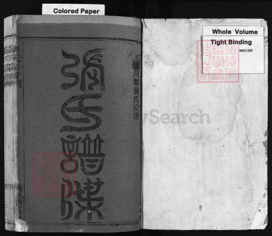 浙江省温州市平阳县张氏族谱-张氏宗谱 [不分卷].pdf电子版预览图2