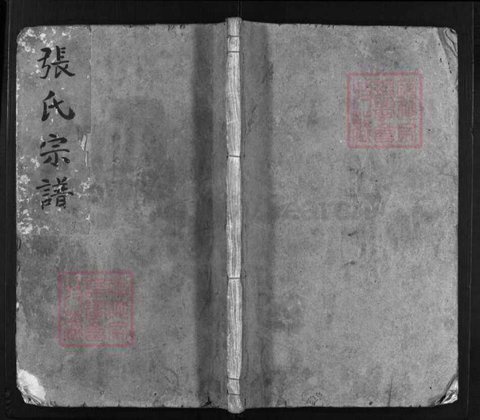 浙江省温州市永嘉县浙江省温州市平阳县张氏族谱-张氏宗谱 [不分卷].pdf电子版预览图1