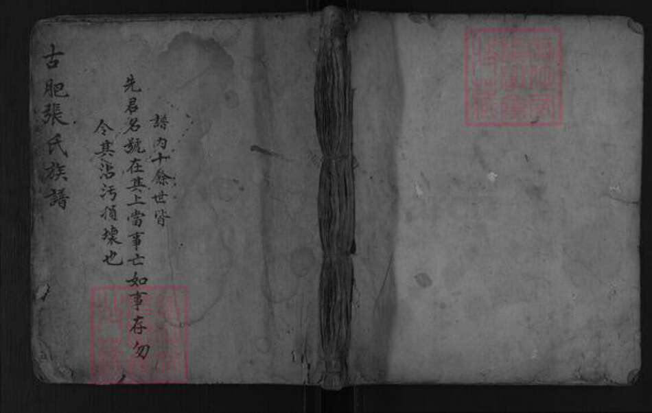 山东省泰安市肥城市张氏族谱-古肥张氏族谱.pdf电子版缩略图