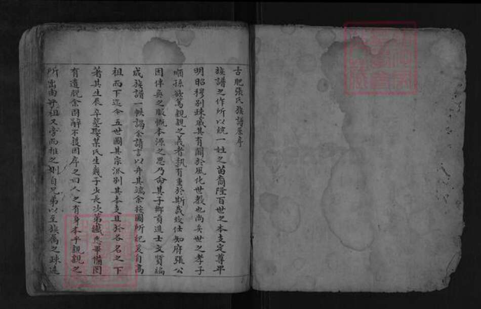 山东省泰安市肥城市张氏族谱-古肥张氏族谱.pdf电子版预览图1