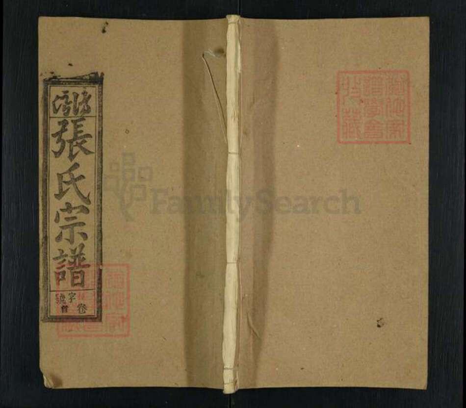 安徽省安庆市潜山市黄铺镇张氏孝友堂族谱-潜阳张氏宗谱.pdf电子版缩略图