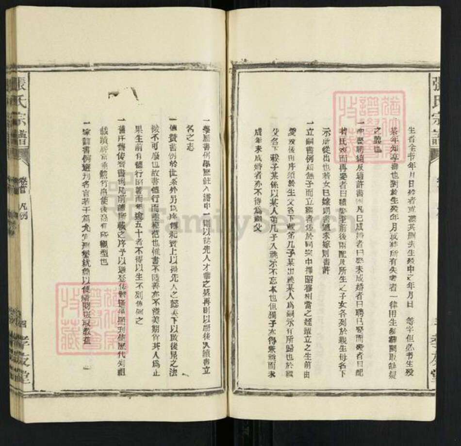 安徽省安庆市潜山市黄铺镇张氏孝友堂族谱-潜阳张氏宗谱.pdf电子版预览图4