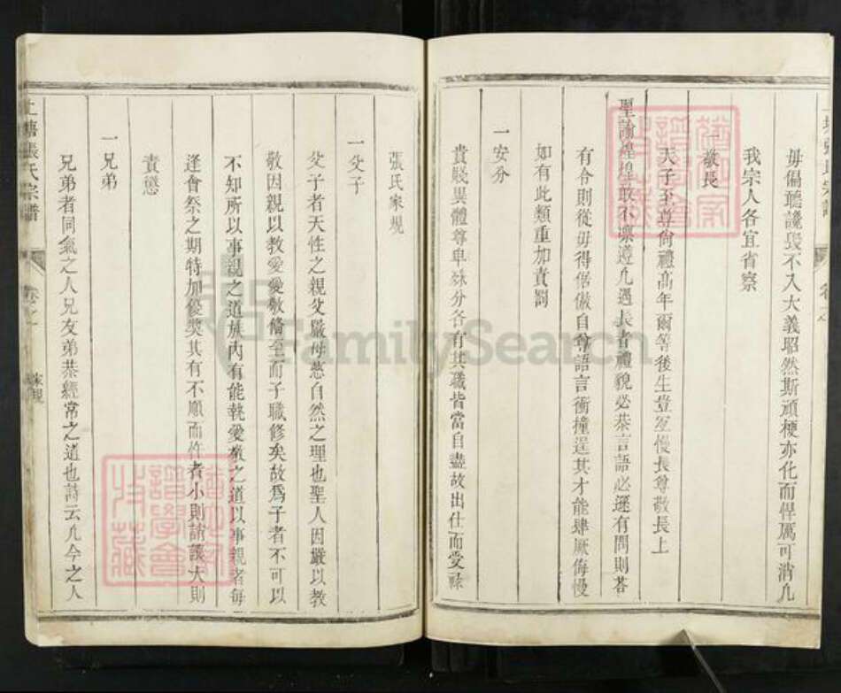 浙江省温州市永嘉县上塘张氏族谱-上塘张氏宗谱.pdf电子版预览图5