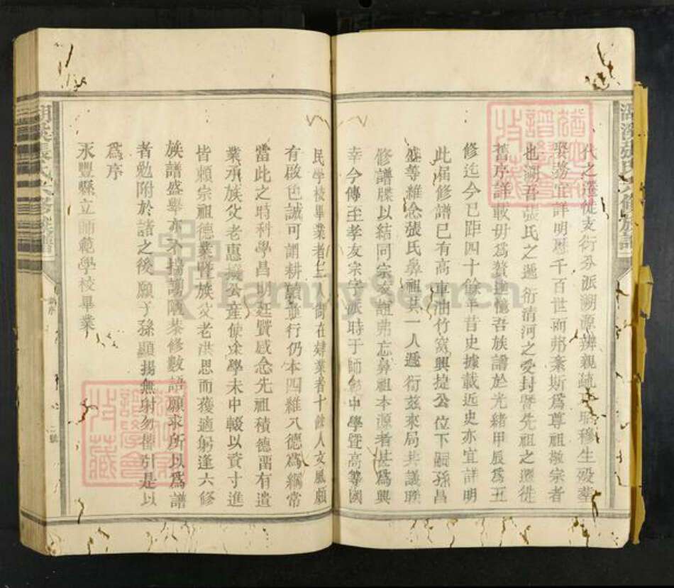 江西省抚州市乐安县湖溪乡张氏族谱-湖溪张氏六修族谱.pdf电子版预览图5