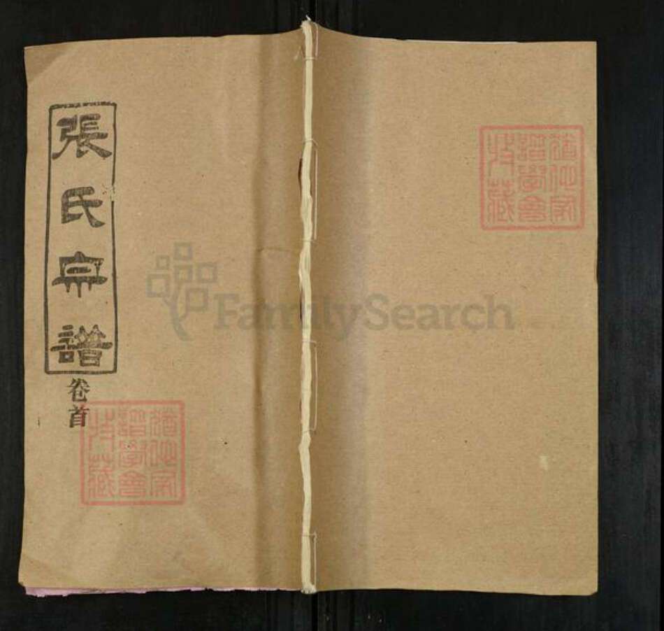 湖北省武汉市新洲区张氏两铭堂族谱-张氏宗谱.pdf电子版缩略图