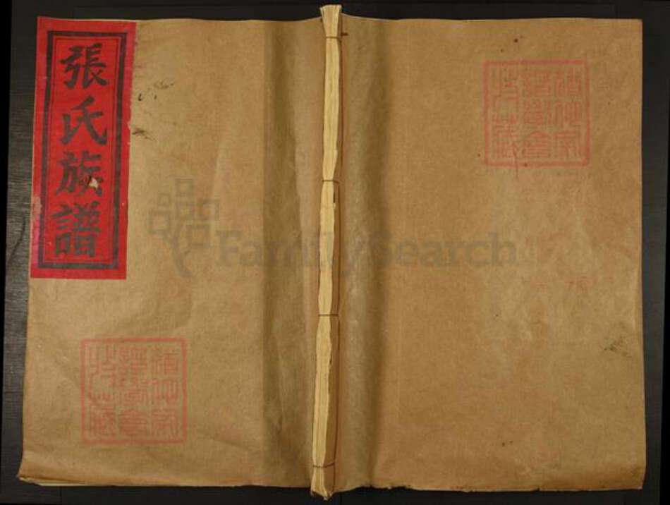 江西省赣州市江西省赣州市宁都县安福乡张氏族谱-张氏八修族谱.pdf电子版缩略图