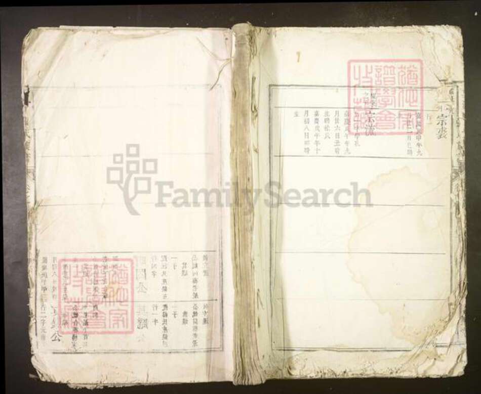 安徽省安庆市望江县张氏族谱-望江张氏族谱.pdf电子版缩略图