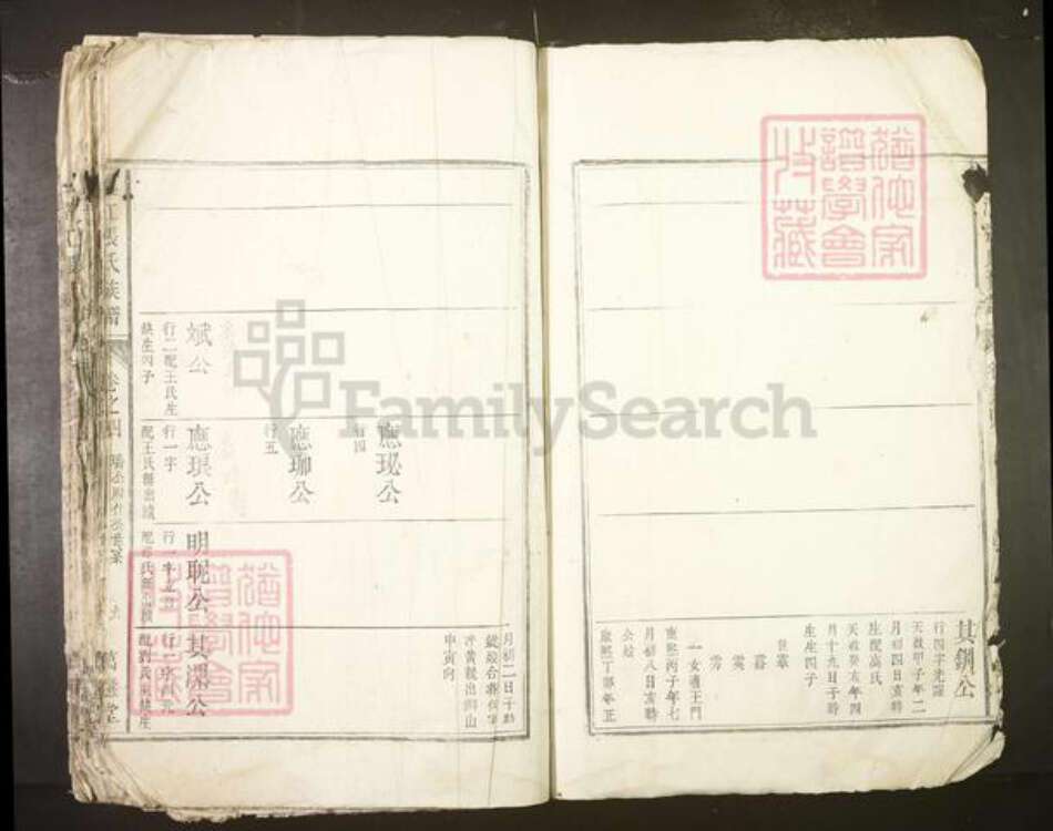 安徽省安庆市望江县张氏族谱-望江张氏族谱.pdf电子版预览图2